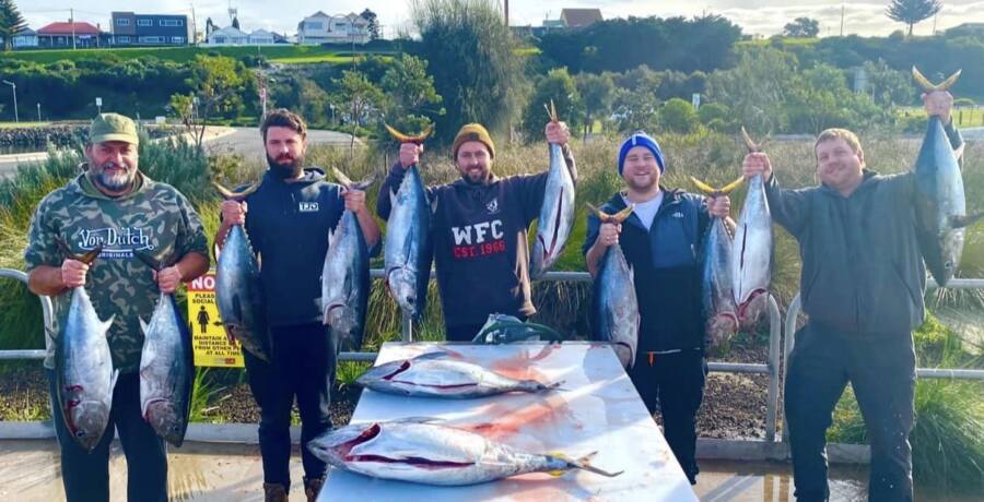 Portland Tuna