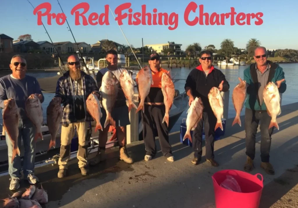 Melbourne SNAPPER FISHING CHARTER
