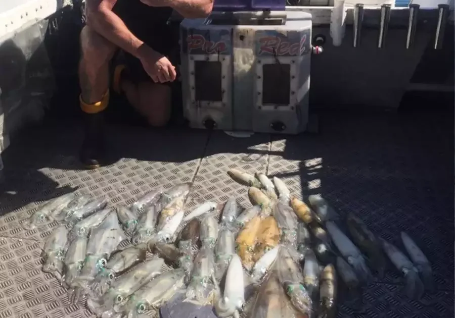 King George Whiting Fishing